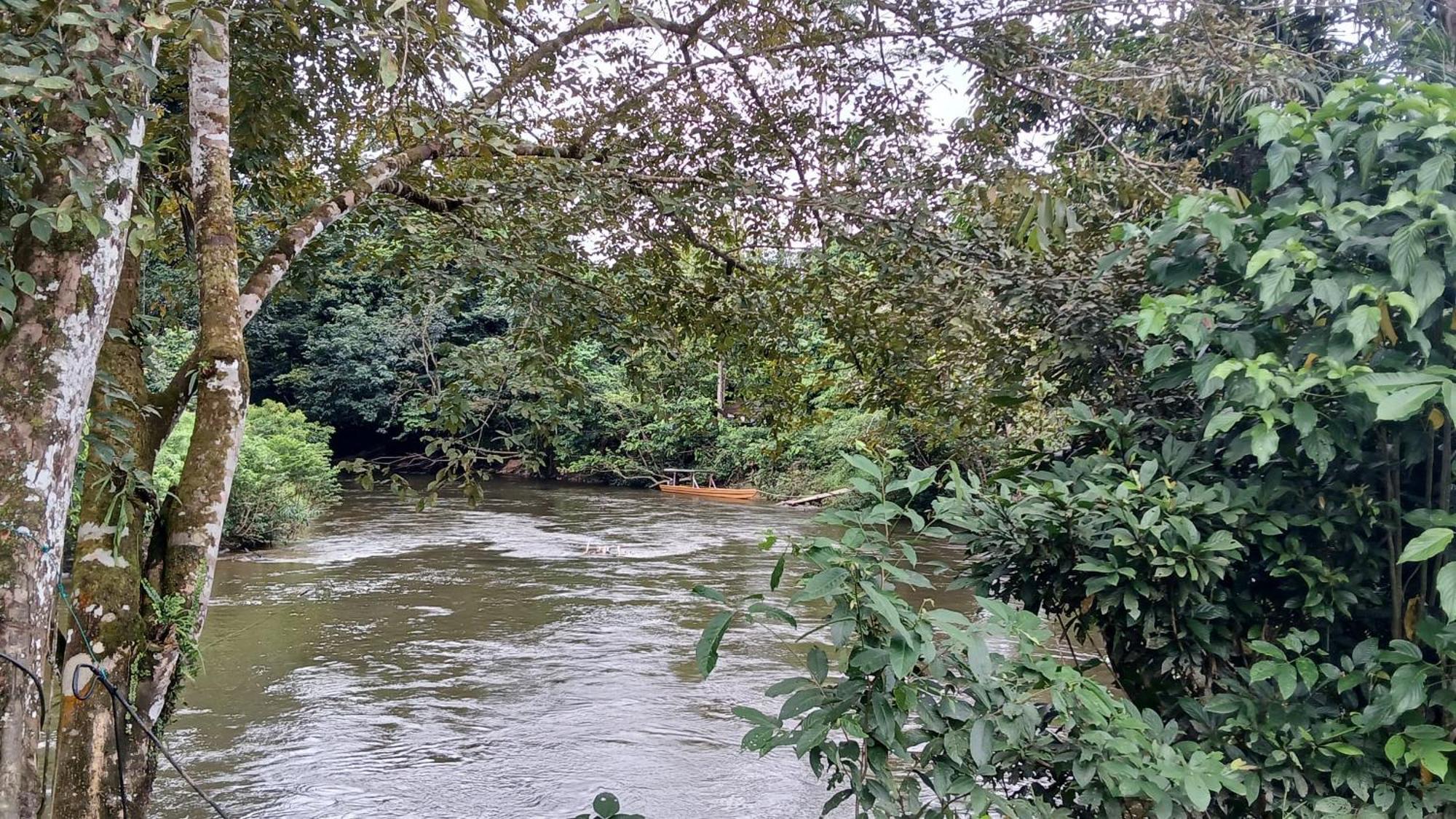 Mulu Tribal Homestay Buitenkant foto