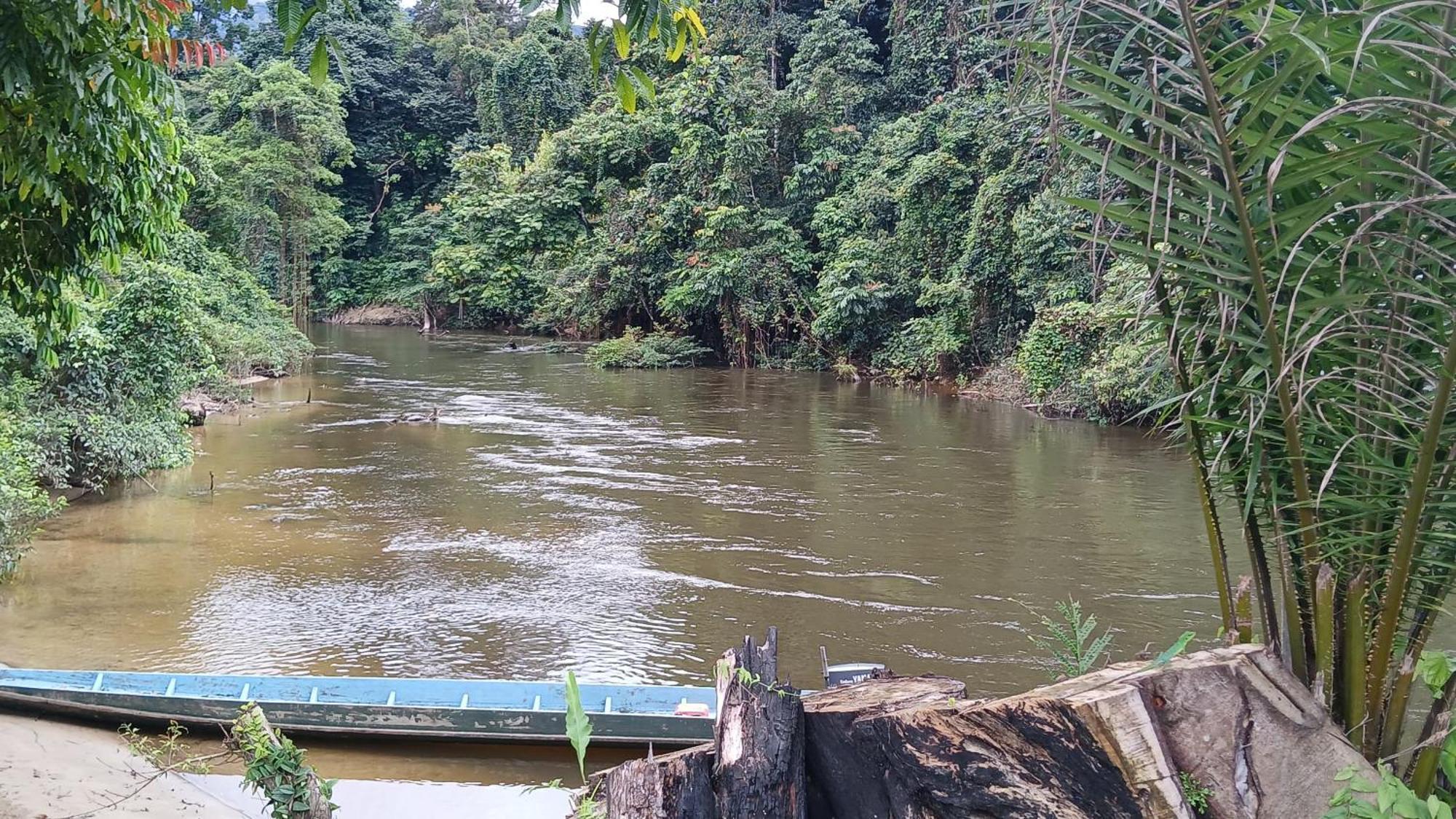 Mulu Tribal Homestay Buitenkant foto